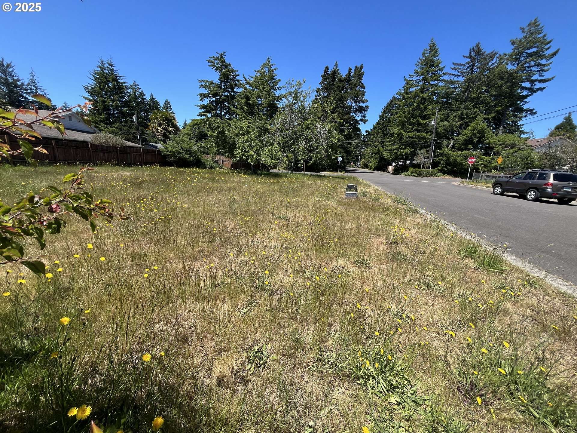 Florence, OR 97439,Tamarack