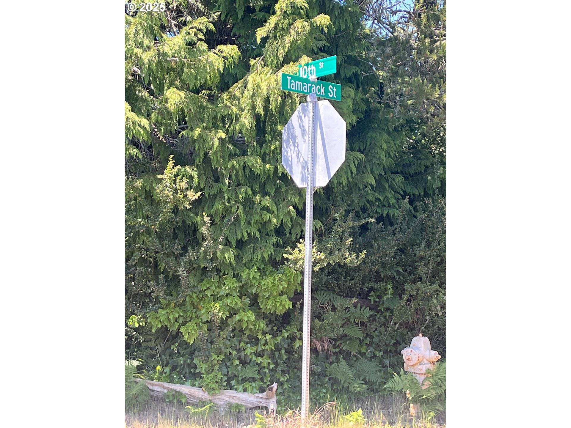 Florence, OR 97439,Tamarack