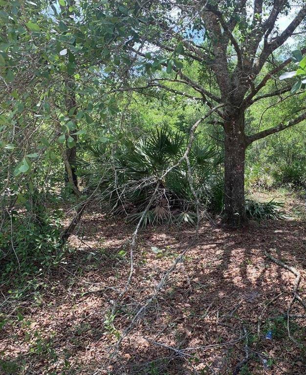 Kathleen, FL 33849,0 County RD 54 E