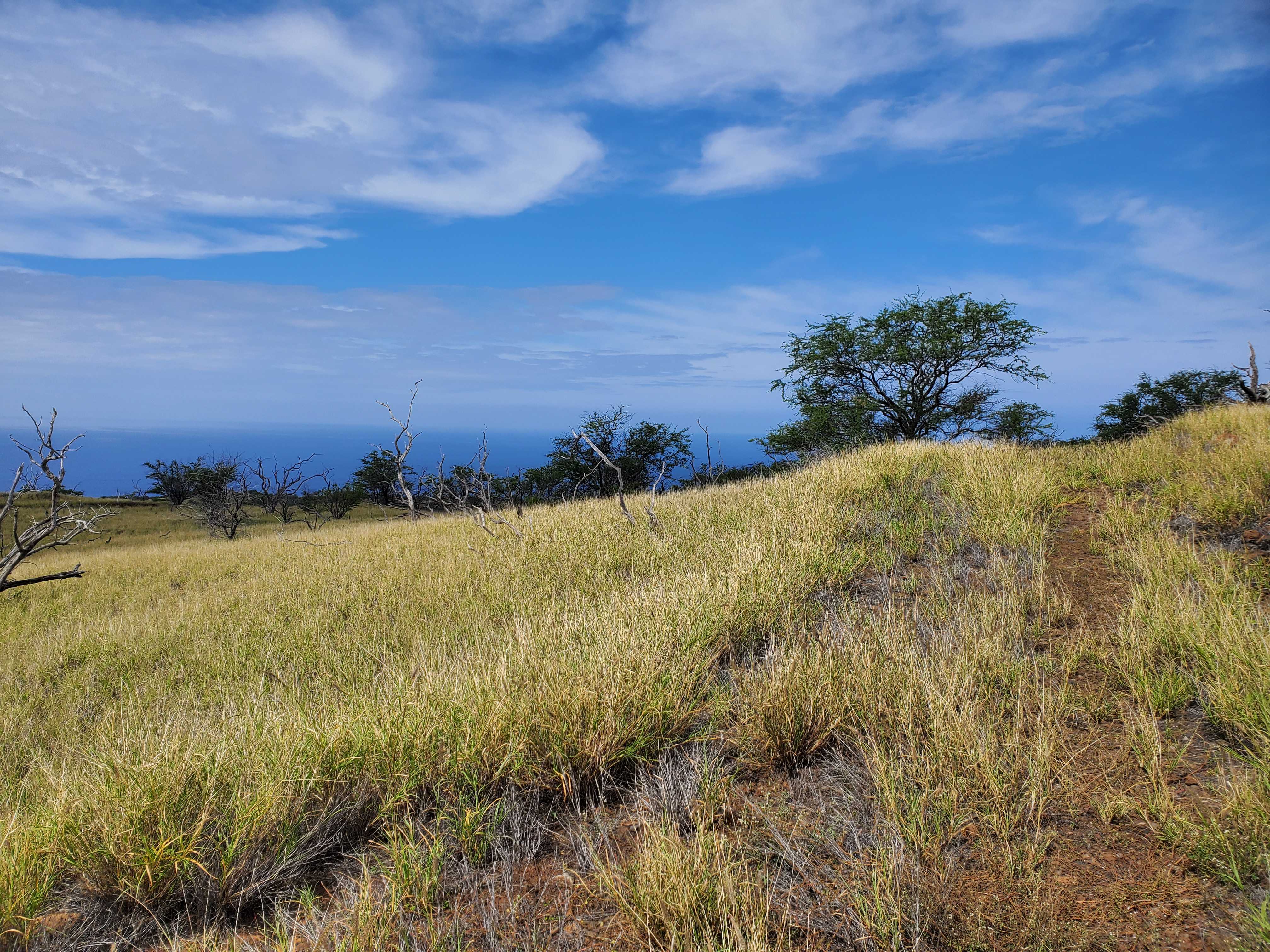 KAALA RD, Kamuela, HI 96743