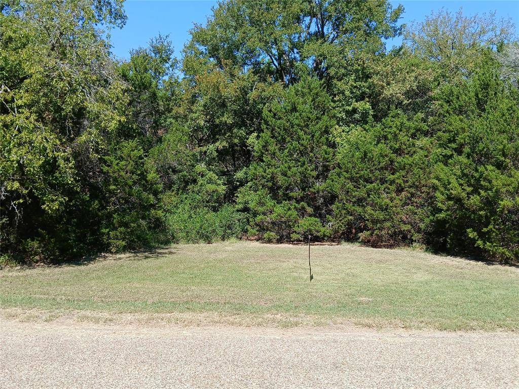 Whitney, TX 76692,TBD Cedar Elm Drive