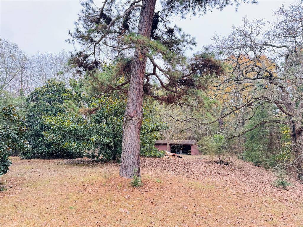 Winnsboro, TX 75494,9689 Farm Road 1448