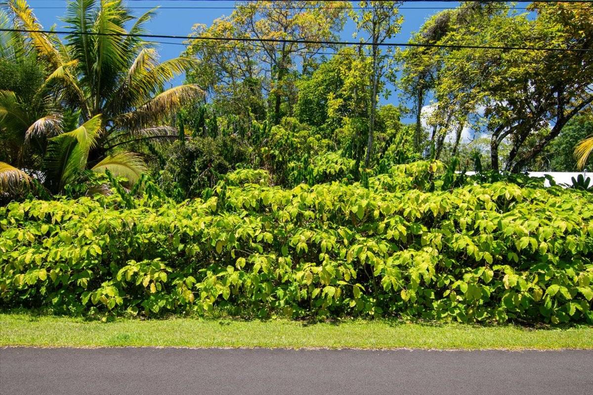 Pahoa, HI 96778,15-175 N PUNI LAPA LOOP
