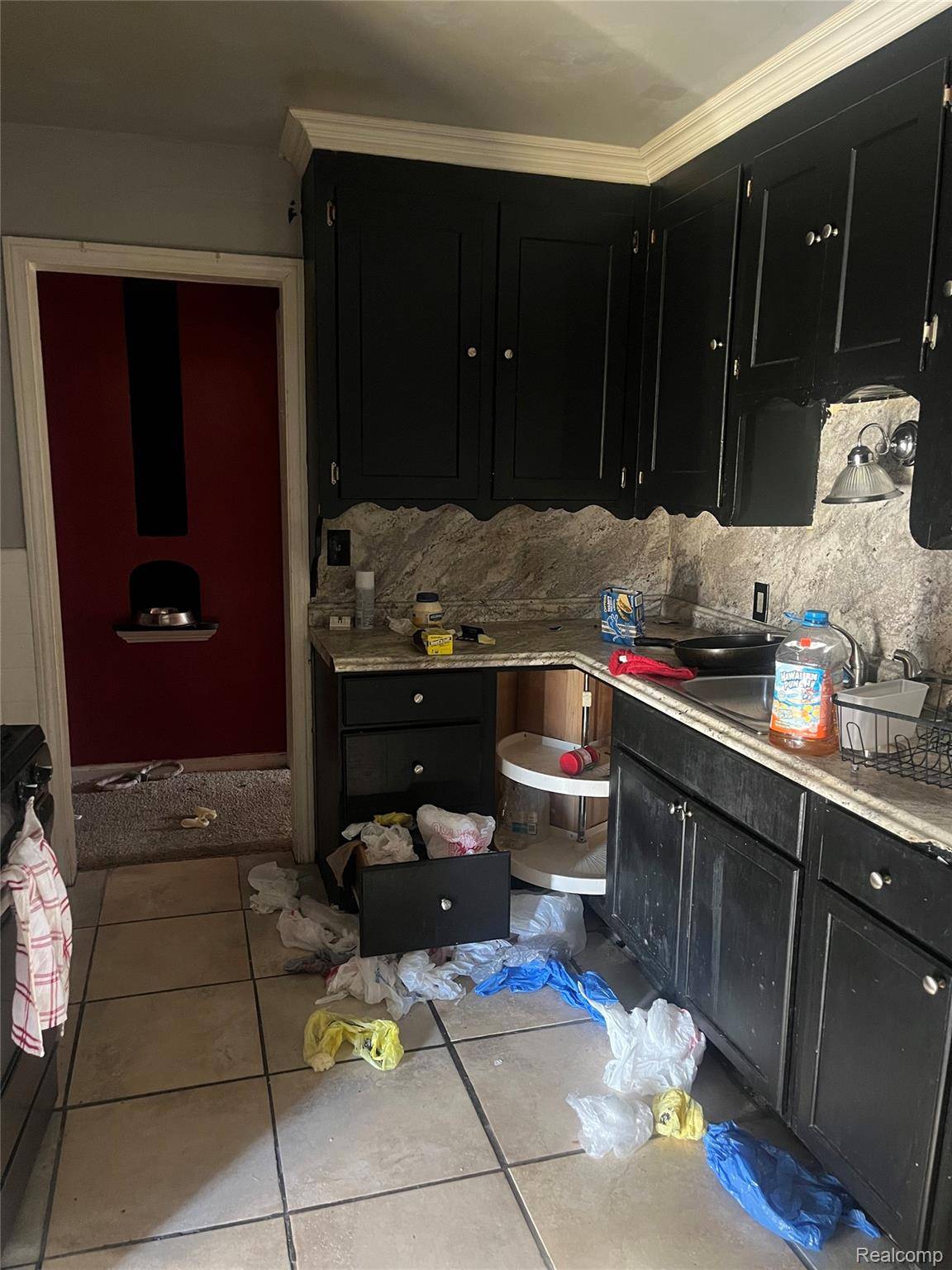 Detroit, MI 48205,15003 Young ST