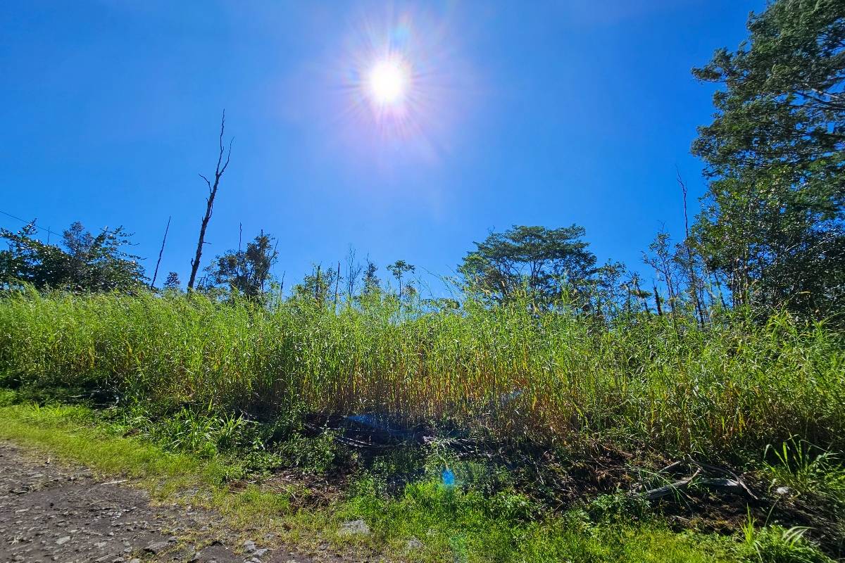 Kurtistown, HI 96760,16-1920 36TH AVE