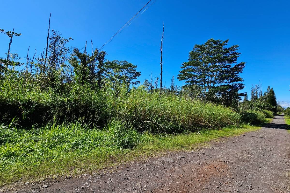 Kurtistown, HI 96760,16-1920 36TH AVE