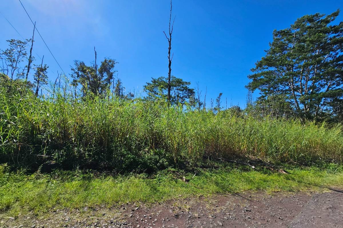 Kurtistown, HI 96760,16-1920 36TH AVE