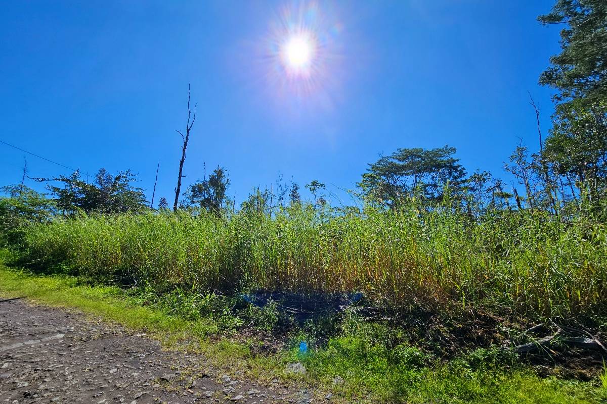 Kurtistown, HI 96760,16-1920 36TH AVE