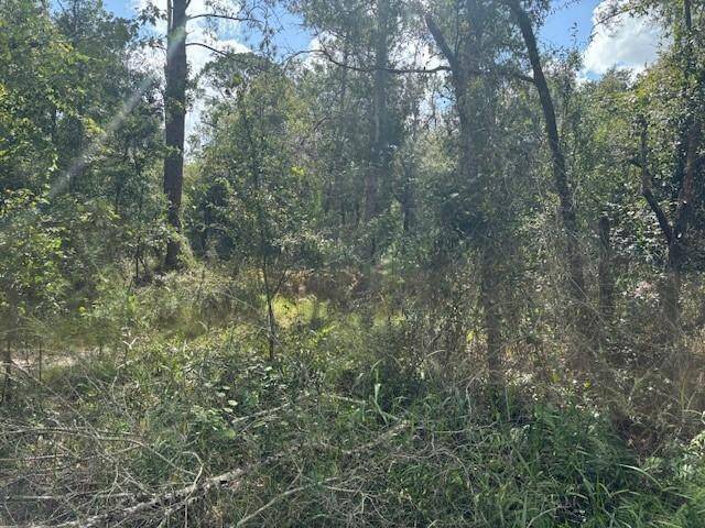 Kathleen, FL 33849,0 County RD 54 E