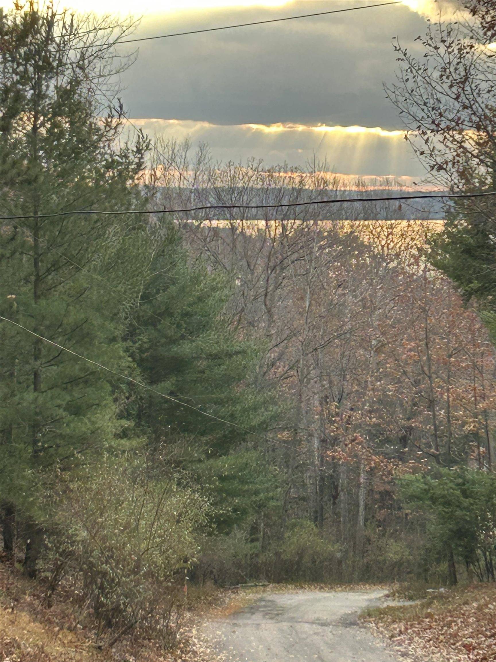 Rapid City, MI 49676,00 Mountain RD