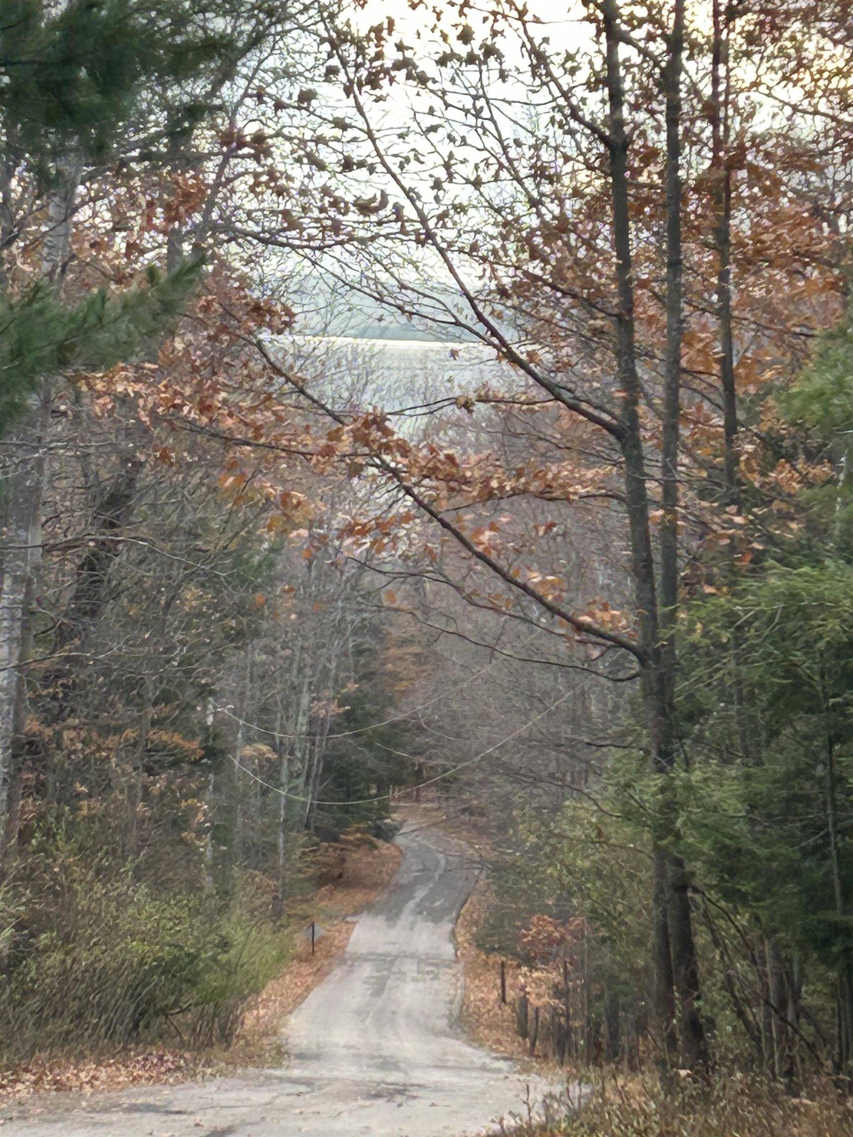 Rapid City, MI 49676,00 Mountain RD