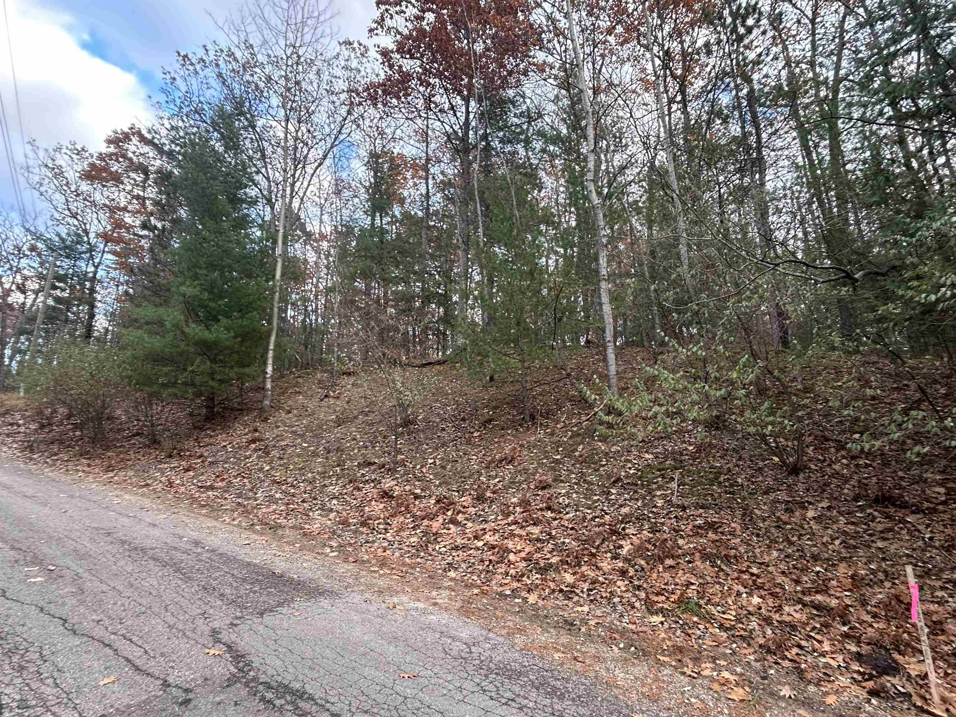 Rapid City, MI 49676,00 Mountain RD