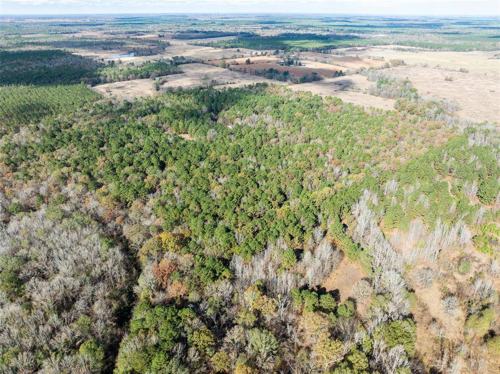 Bagwell, TX 75412,00 CR 2237