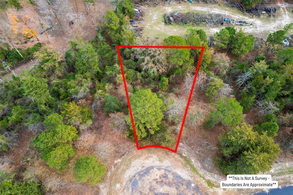 Scroggins, TX 75480,Lot 450 Charlya Drive
