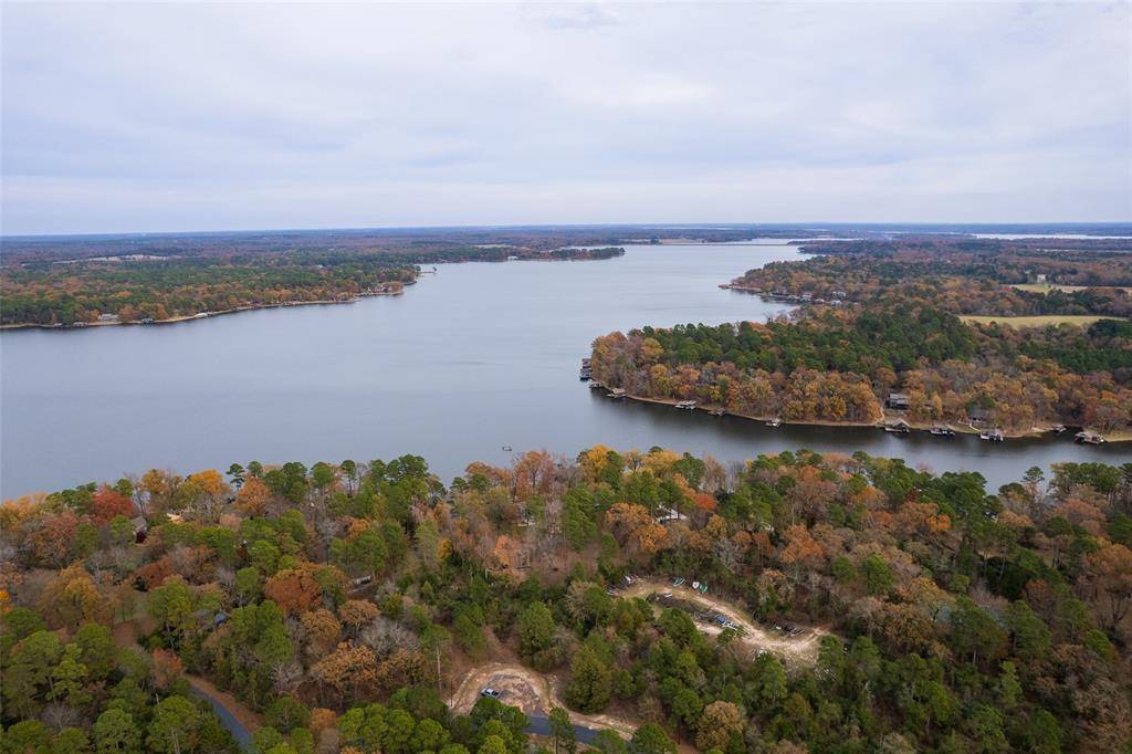 Scroggins, TX 75480,Lot 450 Charlya Drive