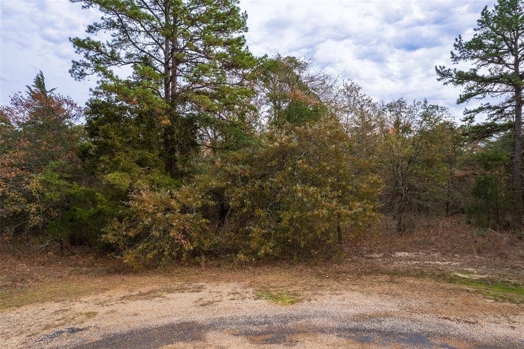 Scroggins, TX 75480,Lot 450 Charlya Drive
