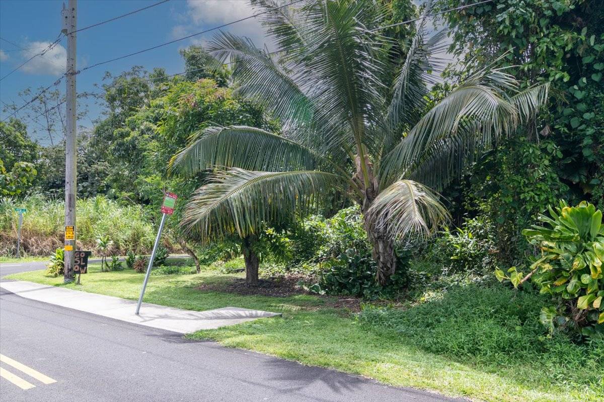 Pahoa, HI 96778,N OPIHI ST