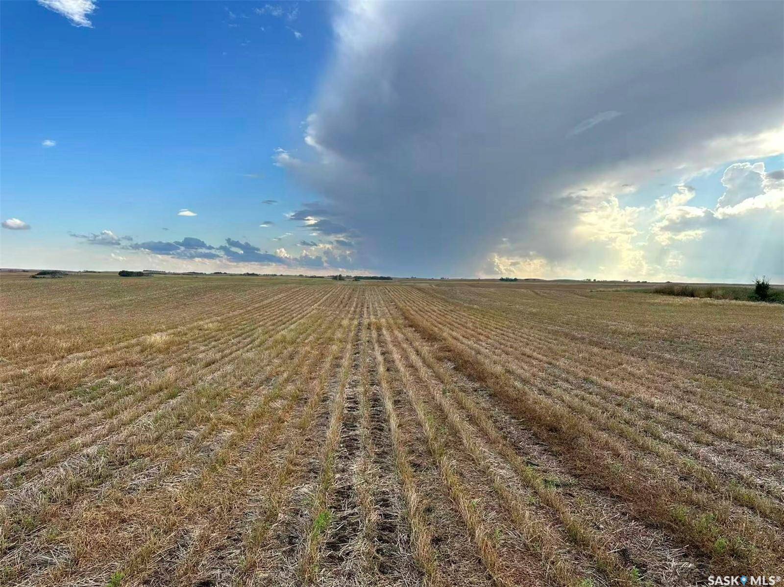 Morris Rm No. 312, SK S0K 4Y0,Rural Address