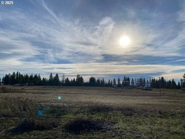 Goldendale, WA 98620,Sara View DR #Lot 3