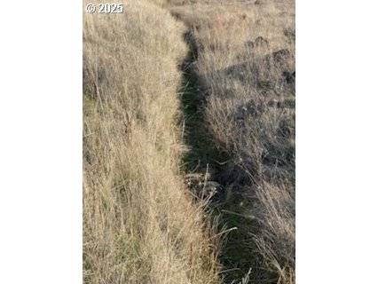 Goldendale, WA 98620,Sara View DR #Lot 3