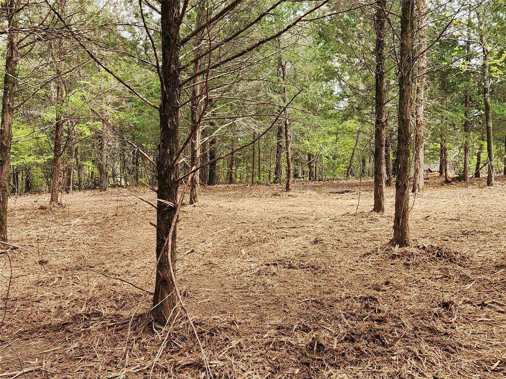 Larue, TX 75770,Lot 465 CR-4710