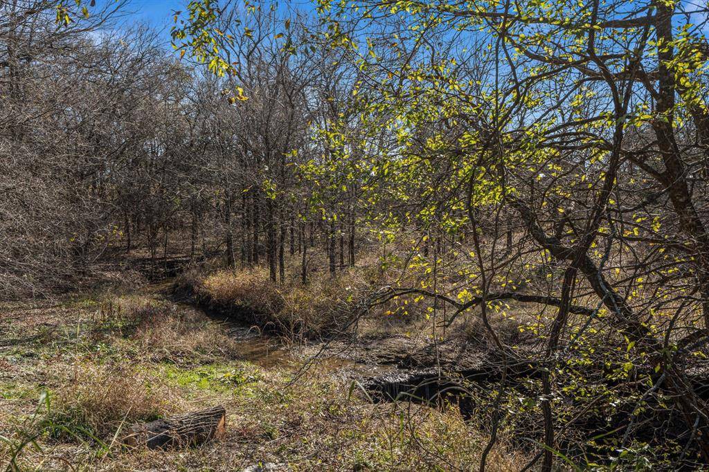 Gunter, TX 75058,109 Falls Creek Lane