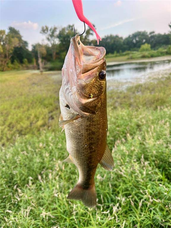 Groesbeck, TX 76642,607 Faulkenberry Road