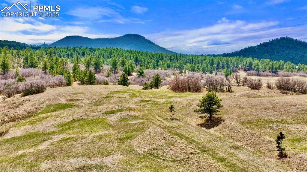 Larkspur, CO 80118,2 Perry Park RD