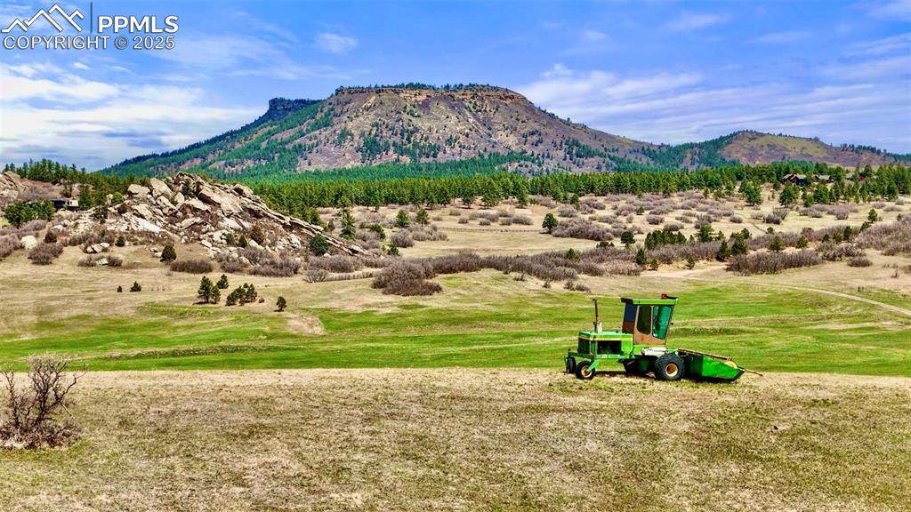 Larkspur, CO 80118,2801 Verbena DR