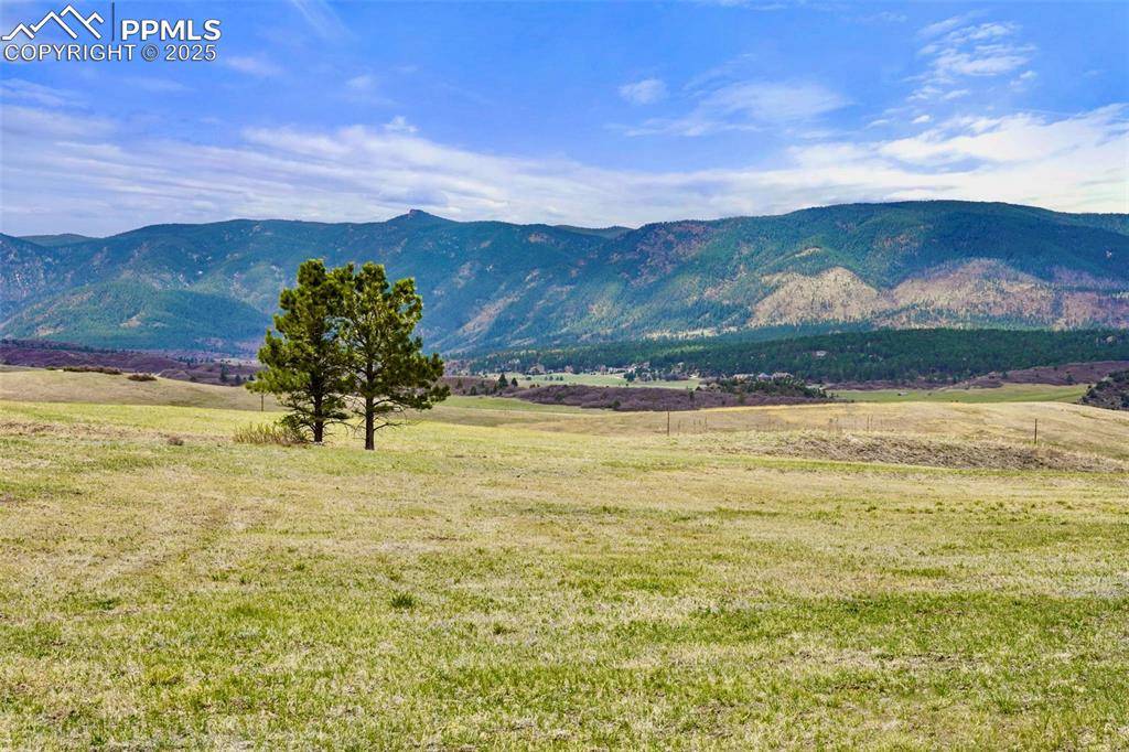 Larkspur, CO 80118,2801 Verbena DR