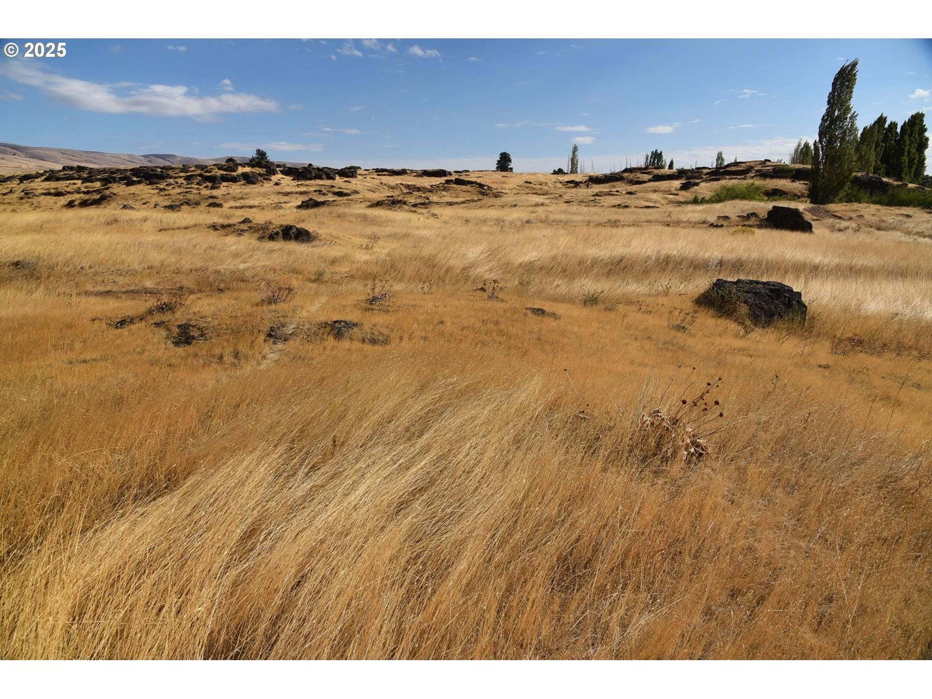 Dallesport, WA 98617,715 GARDEN LN