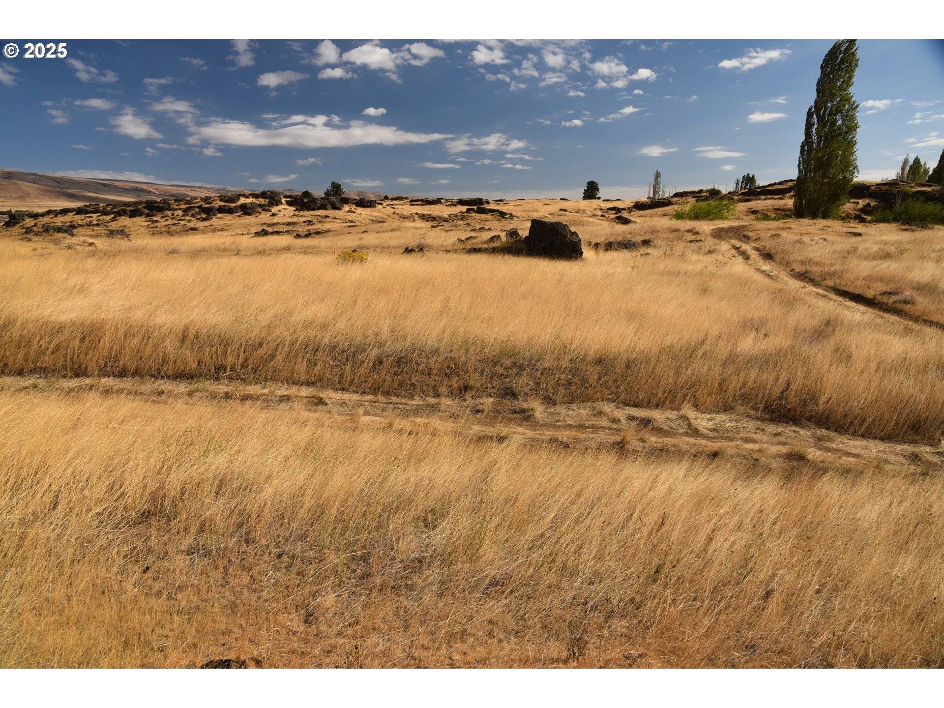 Dallesport, WA 98617,715 GARDEN LN