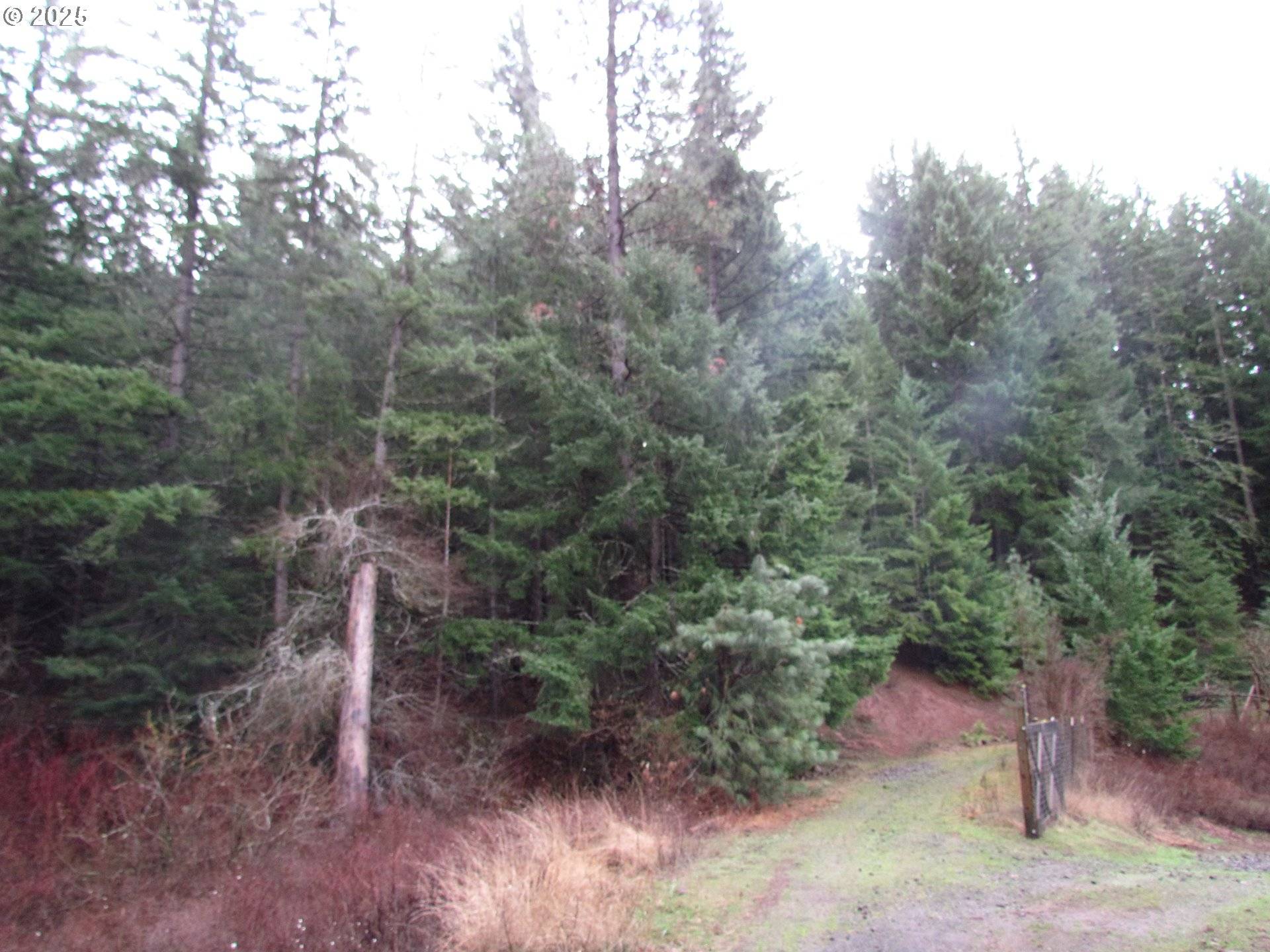 Snowden, WA 98672,10 Acres off Acme Rd