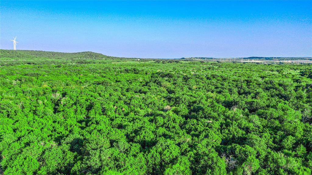 Jacksboro, TX 76458,TBD Rock Creek Road