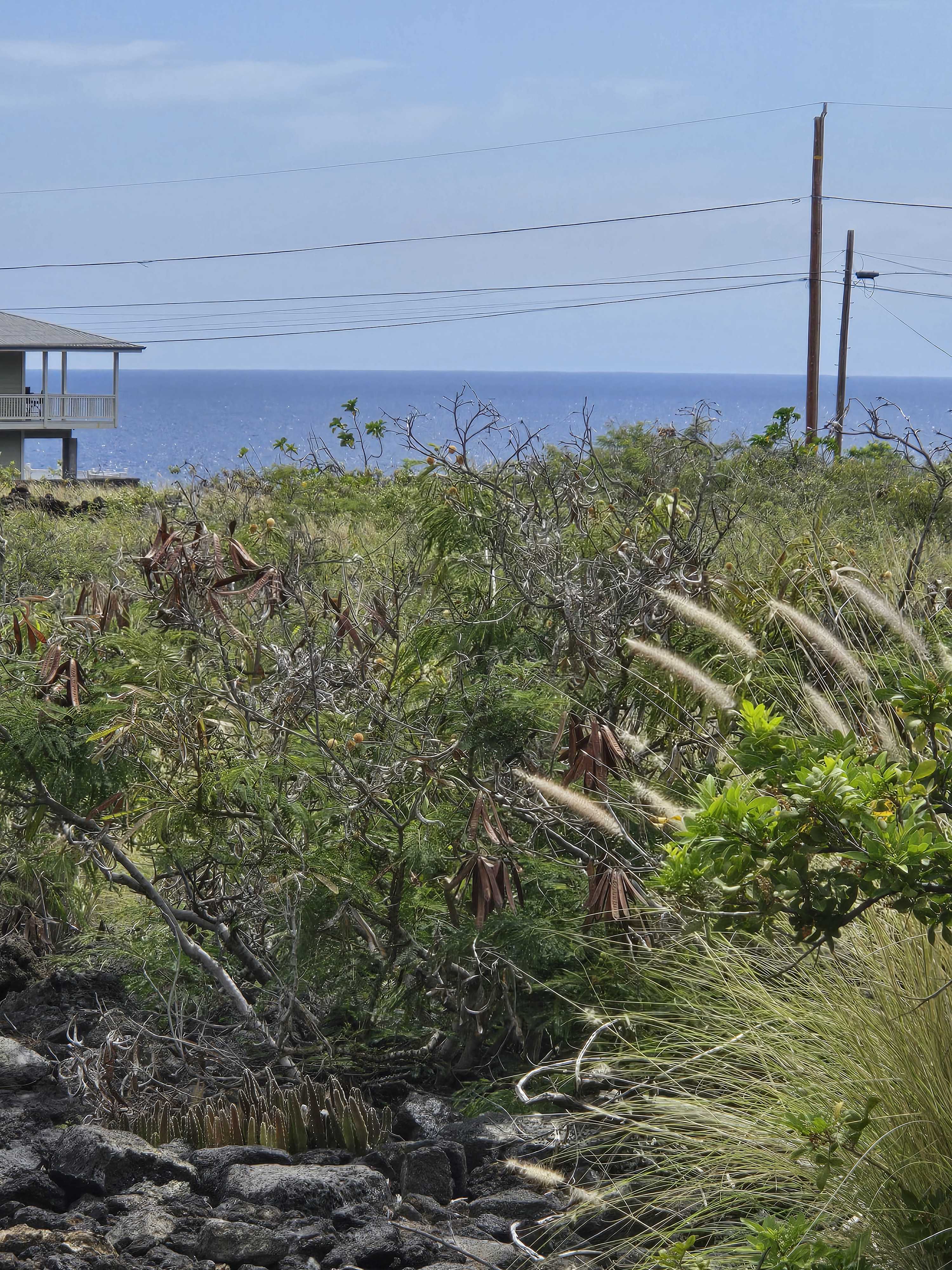 Captain Cook, HI 96704,AKAHI AVE