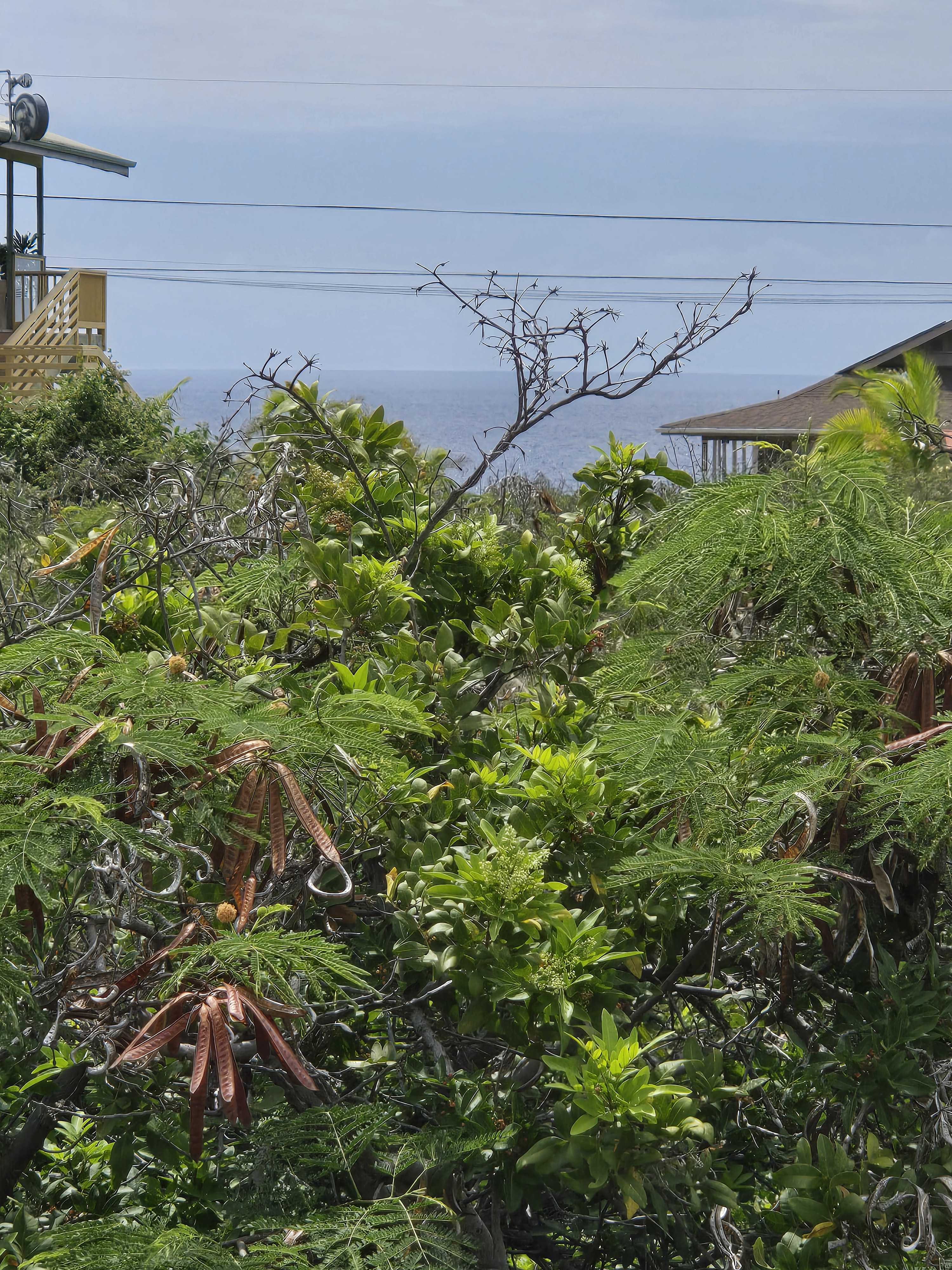 Captain Cook, HI 96704,AKAHI AVE