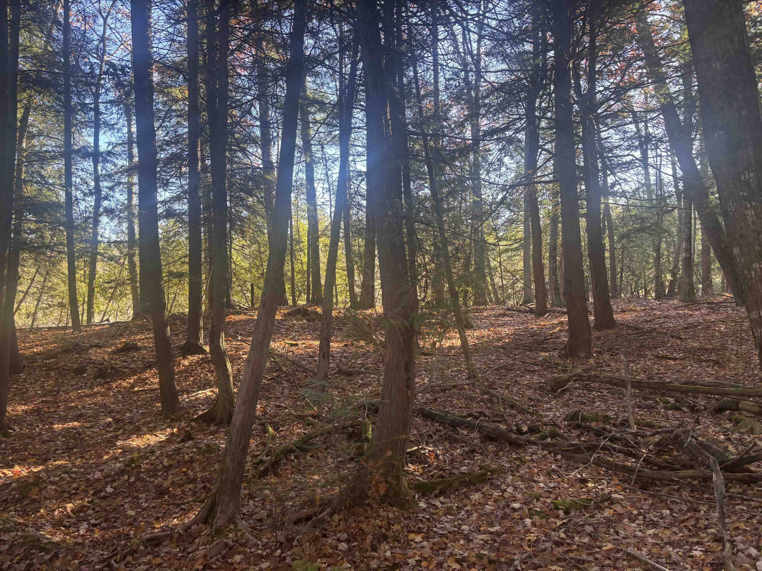 Kewadin, MI 49648,0 Hidden Dunes LN