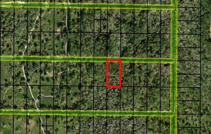 Kathleen, FL 33849,0 County RD 54 E