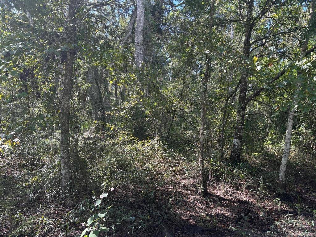 Kathleen, FL 33849,0 County RD 54 E