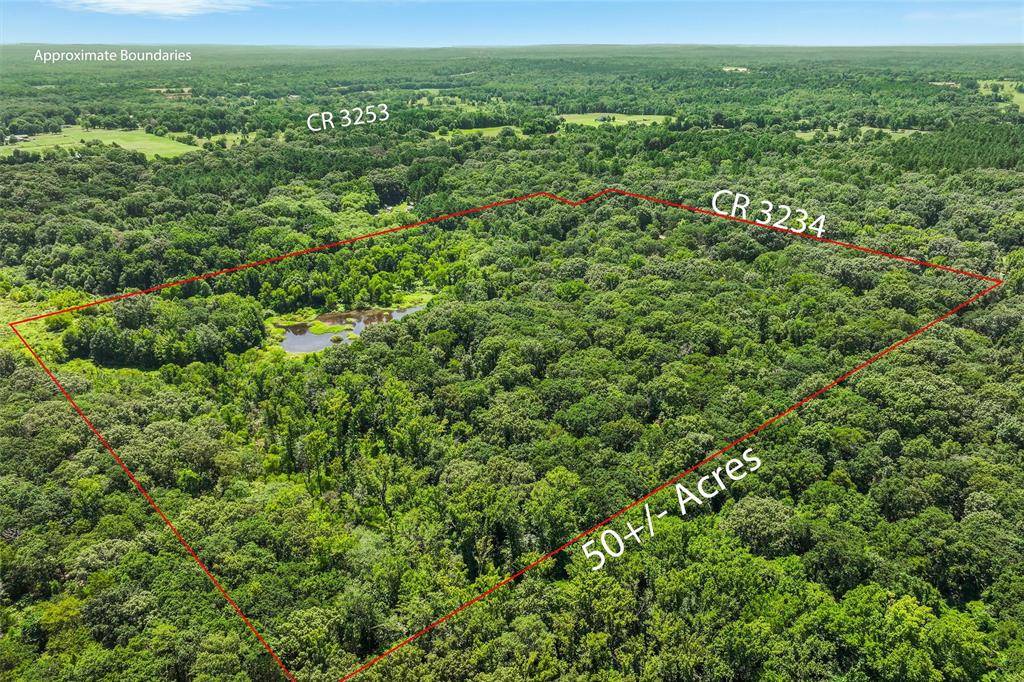 Quitman, TX 75783,1987 County Road 3234