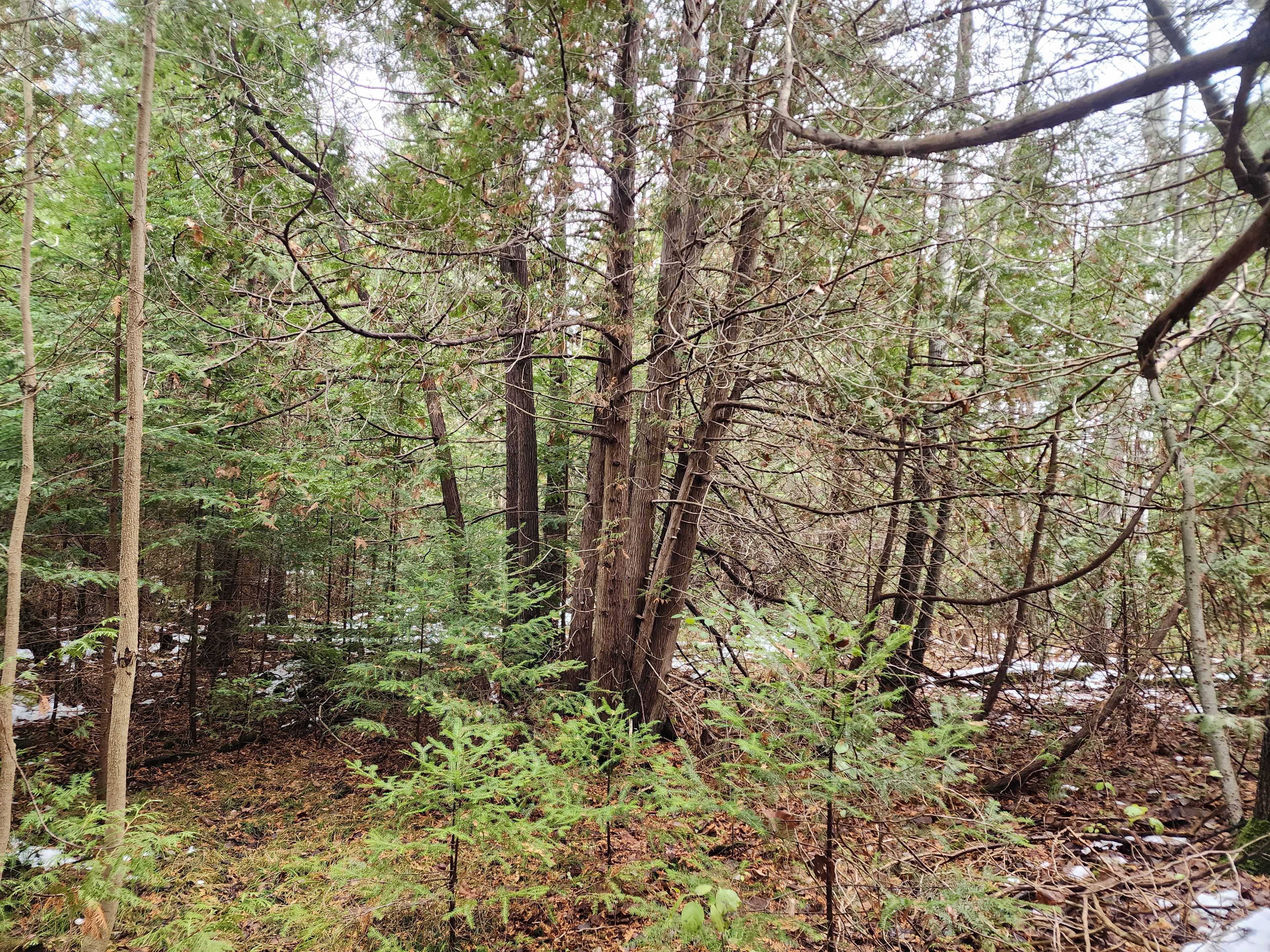 Uxbridge, ON L0E 1T0,10189 Concession 3 RD