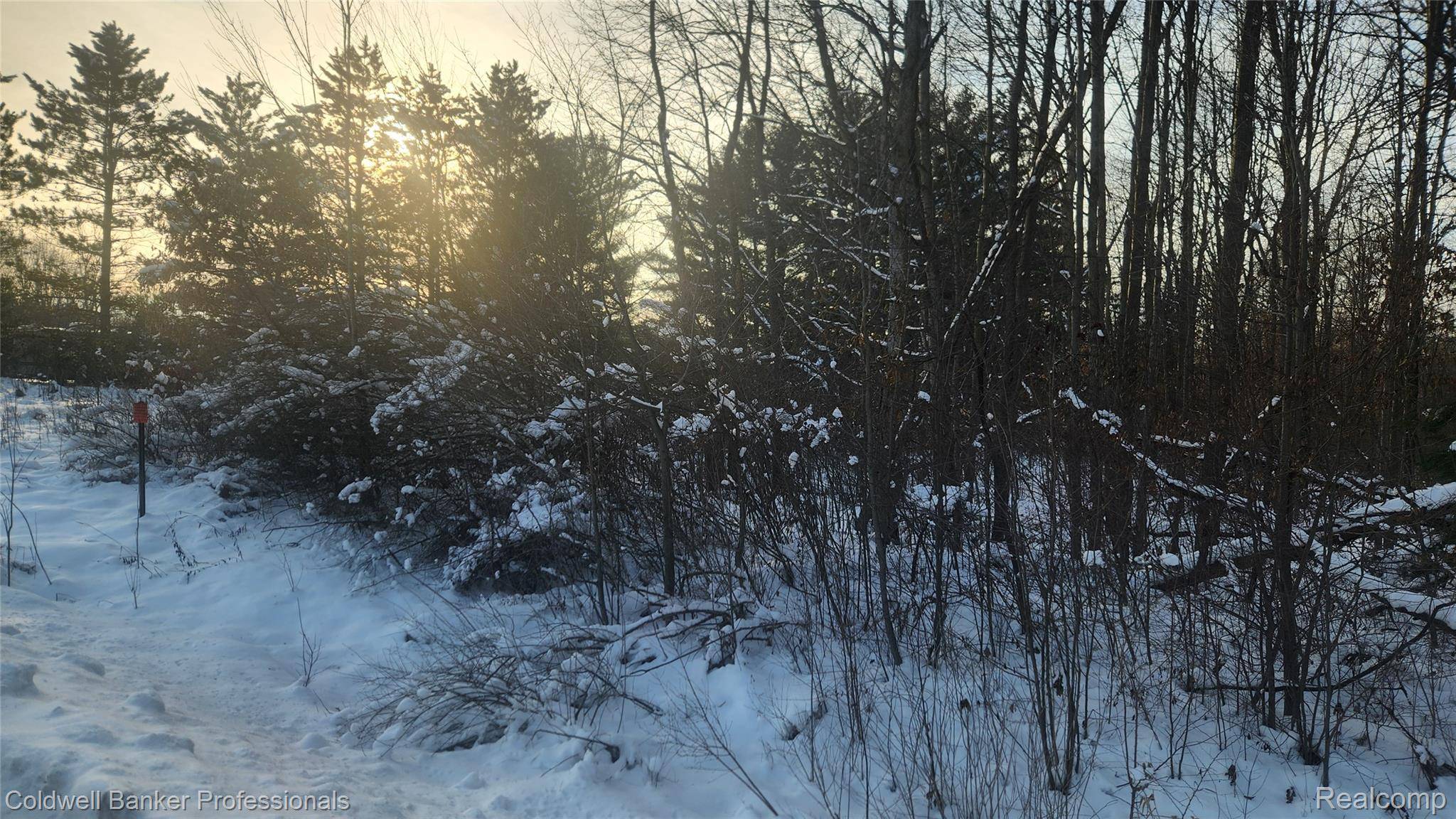 Caro, MI 48723,000 Chambers RD