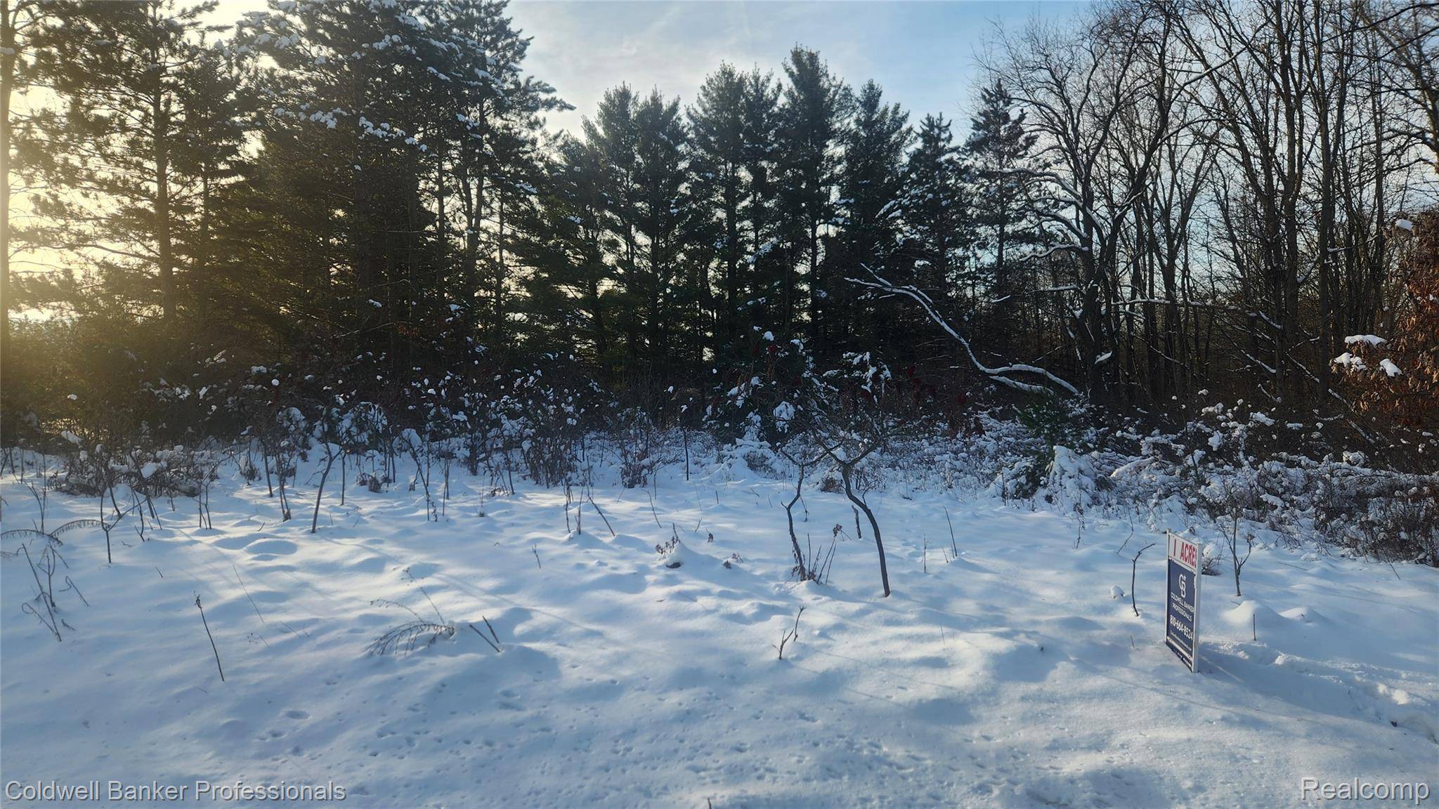 Caro, MI 48723,000 Chambers RD