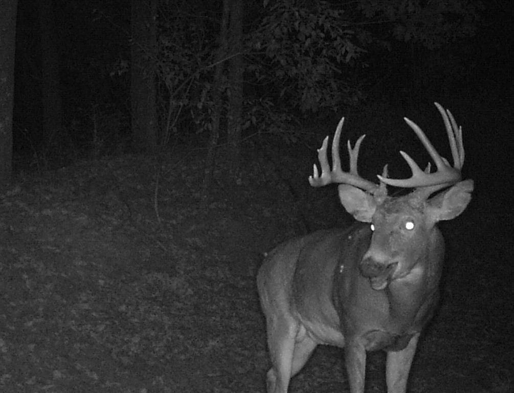 Mexia, TX 75846,885 CR 244 Road