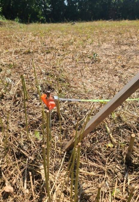 Dallas, TX 75212,3218 Claibourne Boulevard