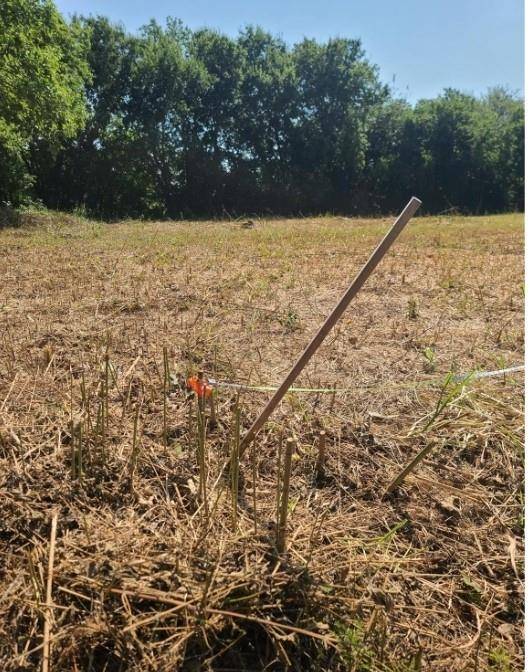 Dallas, TX 75212,3218 Claibourne Boulevard