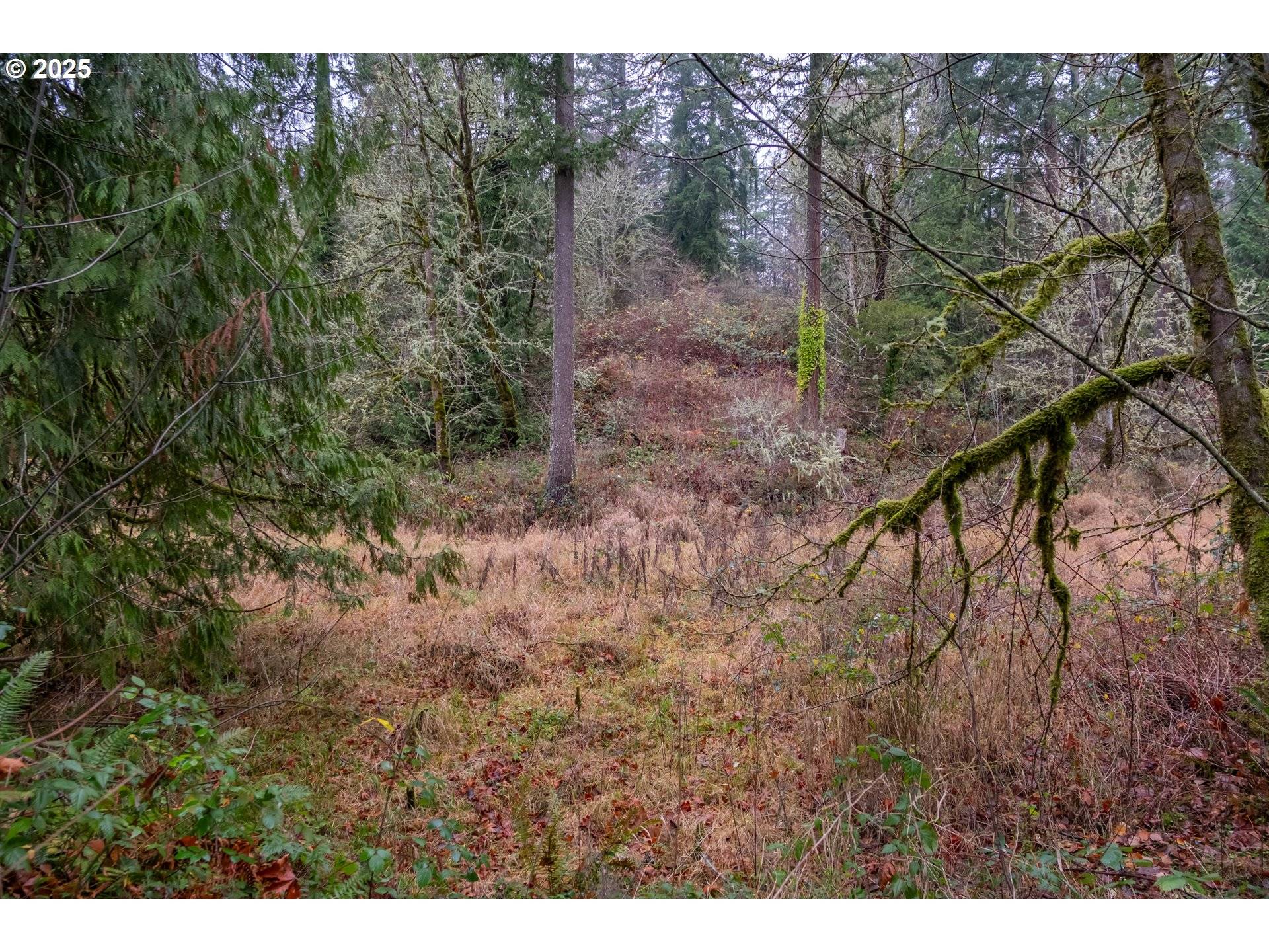 Gaston, OR 97119,38353 SW LAURELWOOD RD