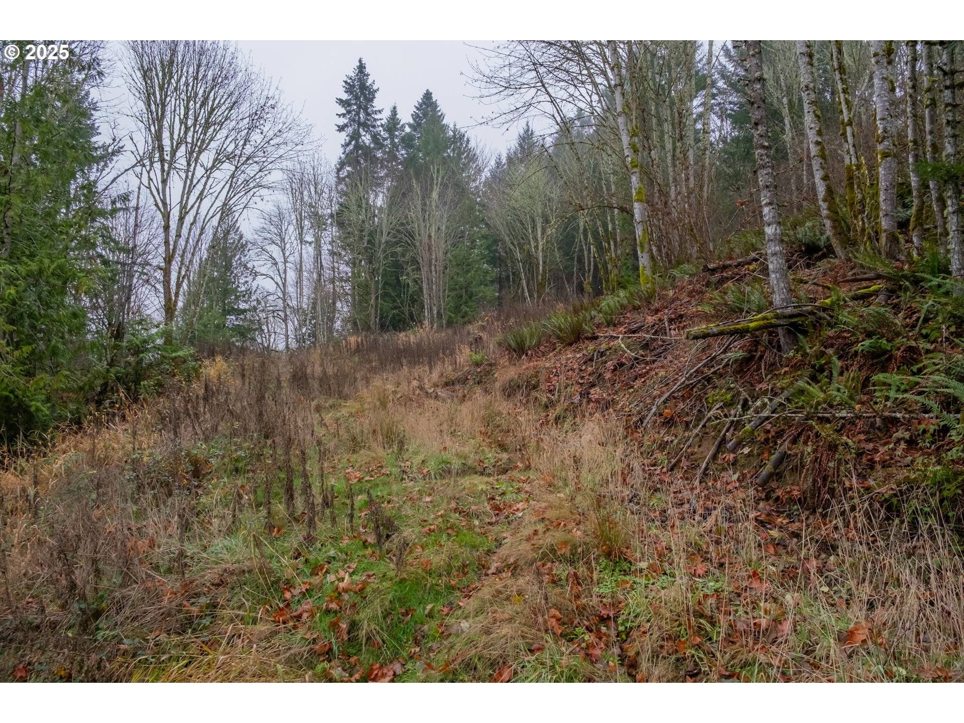 Gaston, OR 97119,38353 SW LAURELWOOD RD