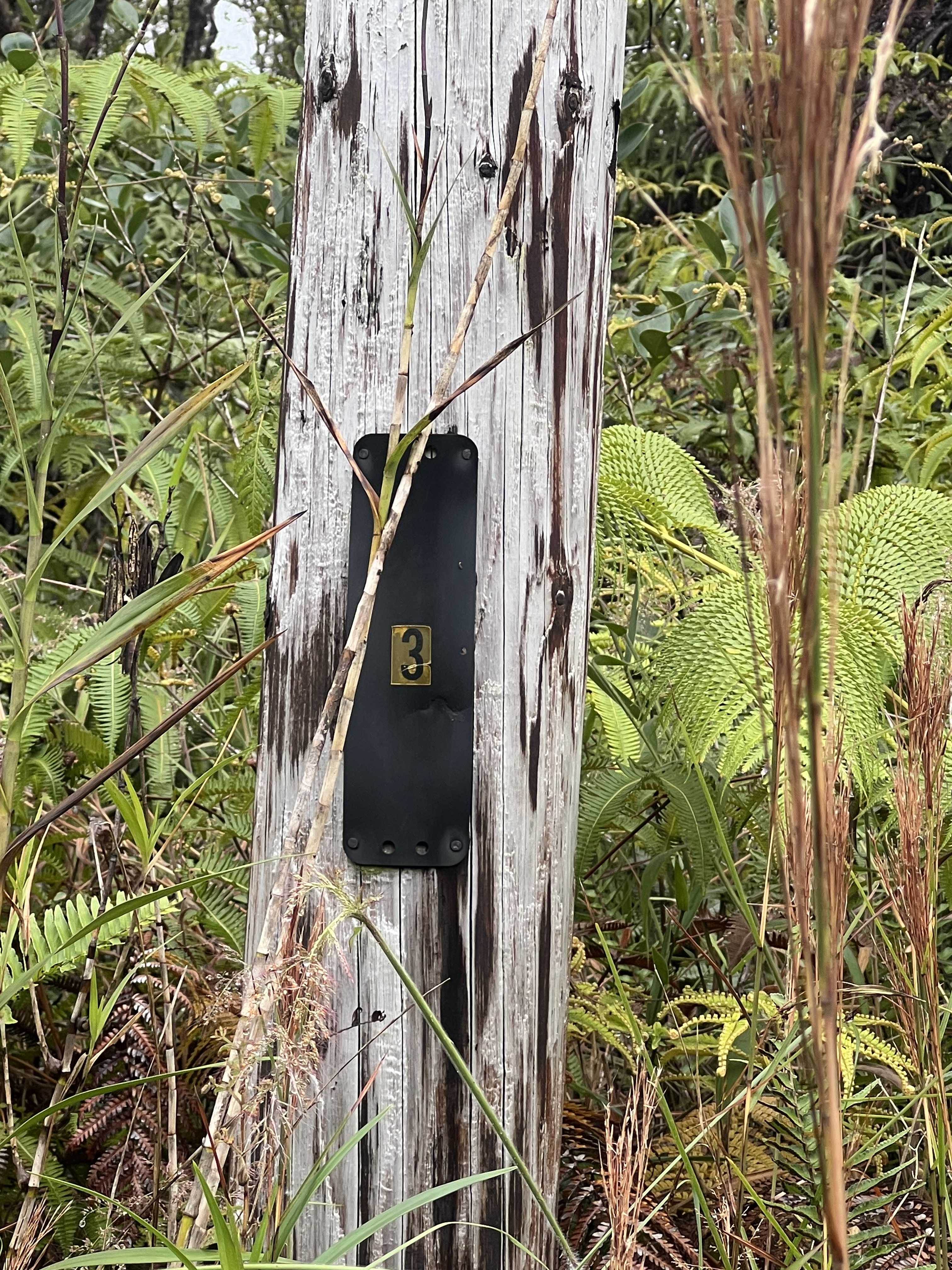 Mountain View, HI 96771,11-1750 WAILELE ST