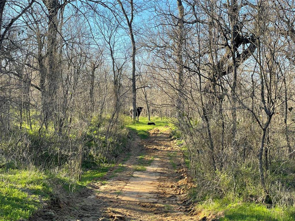 Jacksboro, TX 76458,3141 Rogers Road